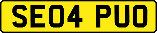 SE04PUO