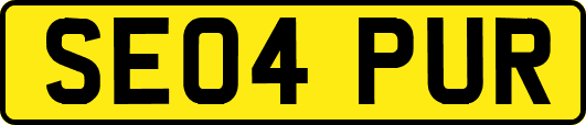 SE04PUR