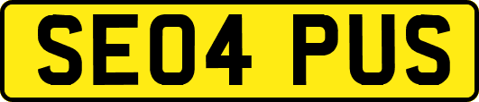 SE04PUS