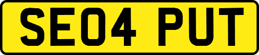 SE04PUT