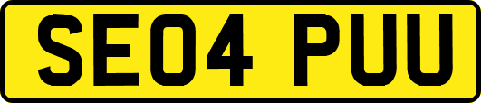 SE04PUU