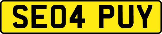 SE04PUY
