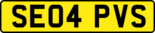 SE04PVS