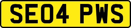 SE04PWS