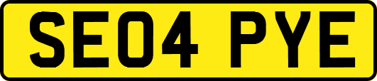 SE04PYE