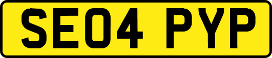 SE04PYP