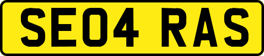 SE04RAS