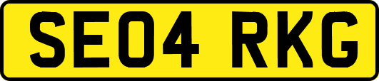 SE04RKG