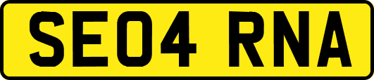SE04RNA