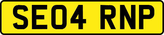 SE04RNP