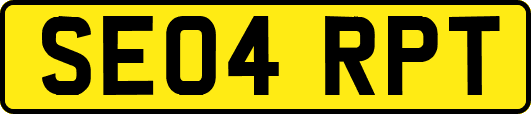 SE04RPT