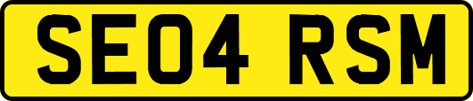 SE04RSM