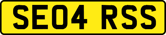 SE04RSS