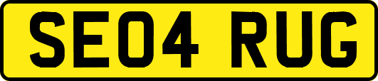 SE04RUG