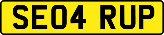 SE04RUP