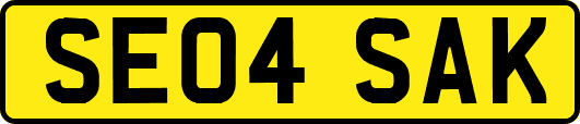 SE04SAK