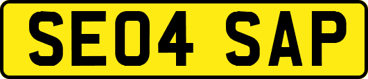 SE04SAP