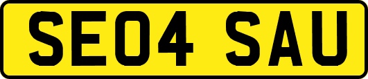 SE04SAU