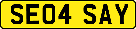 SE04SAY
