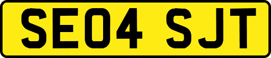 SE04SJT