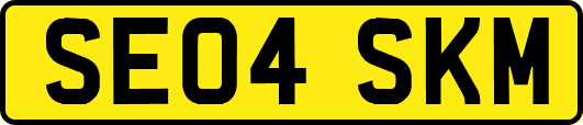SE04SKM
