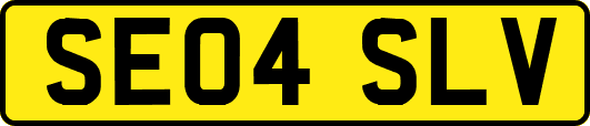 SE04SLV