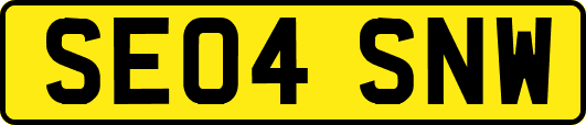 SE04SNW