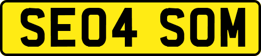 SE04SOM