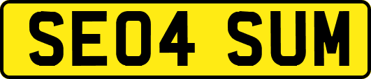 SE04SUM
