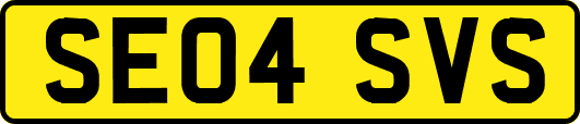 SE04SVS