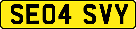 SE04SVY