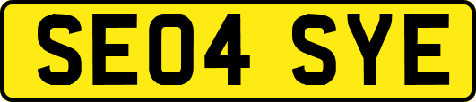 SE04SYE