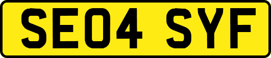 SE04SYF