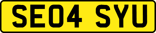 SE04SYU