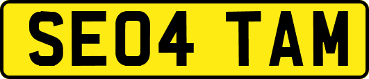 SE04TAM