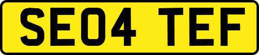 SE04TEF