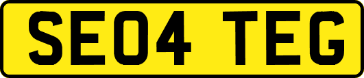 SE04TEG