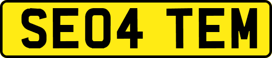 SE04TEM