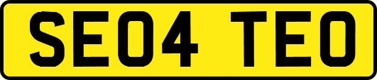 SE04TEO