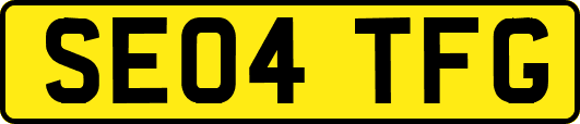 SE04TFG