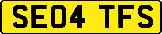 SE04TFS