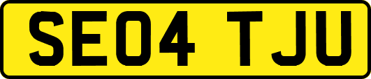 SE04TJU