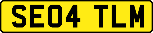 SE04TLM