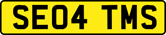 SE04TMS