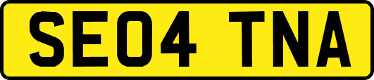 SE04TNA