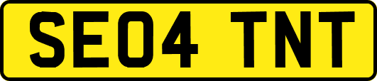 SE04TNT
