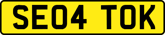 SE04TOK