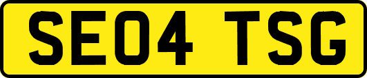 SE04TSG