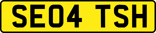 SE04TSH