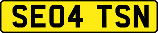 SE04TSN
